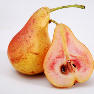 Груша Весильна Красномясая 1