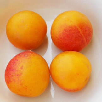 Априум Кот-Н-Кэнди 3