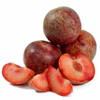 Плуот Дапл Данди 2